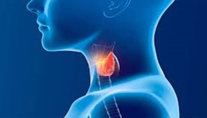 Rugby PLT May 2023 – Endocrinology