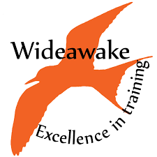 Wide Awake Logo
